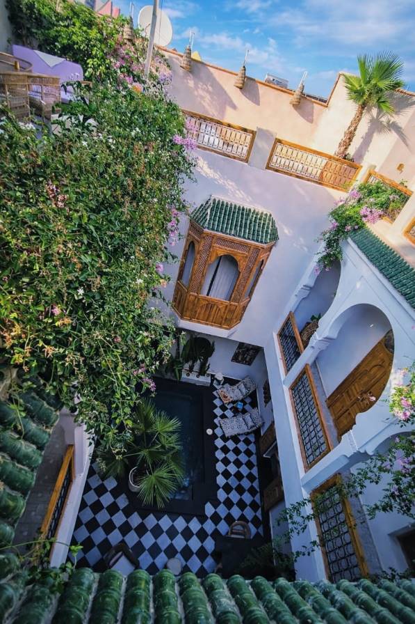 Riad LallaBaya